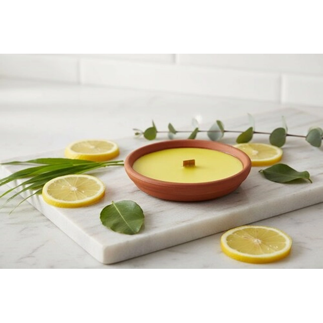 Vendita online Candela alla citronella con coccio terracotta Ø110mm